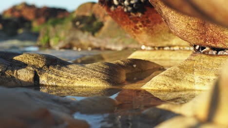 Tranquil-Stream-Flowing-Through-Smooth-Erosion-in-Beach-Rock-Pool