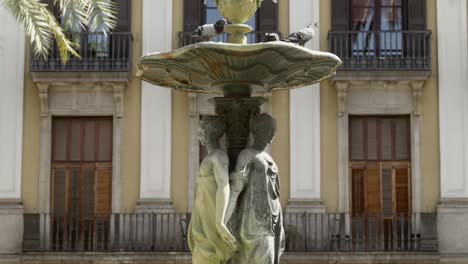 Pigeons-drinking-water-from-Plaça-Reial-fountain,-scenic-static-shot