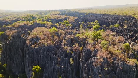 Vista-Aérea-De-Drones-Del-Gran-Tsingy-De-Bemaraha---Formación-De-Piedra-Y-Parque-Nacional-En-Madagascar