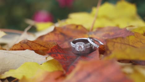 Trauringe-Set-Mit-Herbstblättern