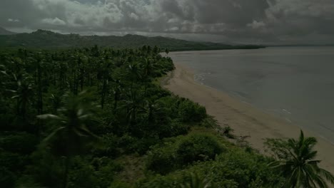 Playa,-Mar-En-Calma-Y-Bosques-En-Filipinas,-Retirada-Aérea-Rápida