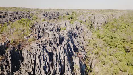 Luftaufnahme-Von-Big-Tsingy-De-Bemaraha-Aus-Der-Drohne---Einzigartige-Steinformationen-Und-Nationalpark-In-Madagaskar