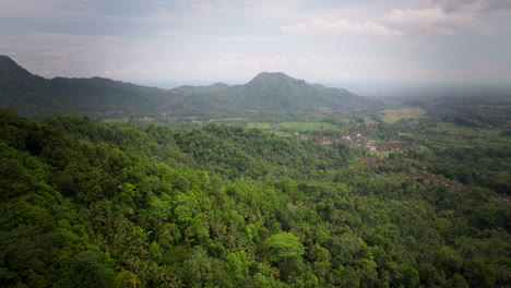 Lush-green-tropical-forested-slope-with-small-village-homes,-Sidemen-Bali