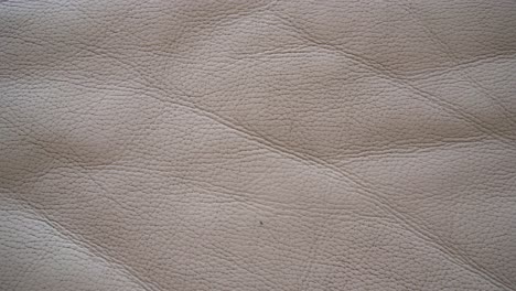 A-white-and-dirty-leather-sofa