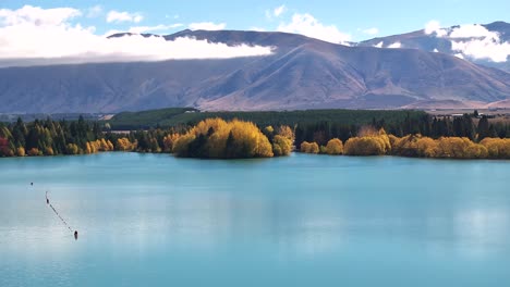 Hermosa-Vista-Panorámica-De-árboles-Coloridos-En-La-Orilla-Del-Lago-Ruataniwha