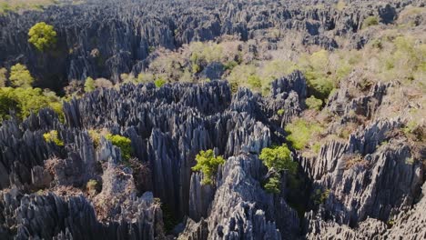 Fliegen-Sie-über-Big-Tsingy-De-Bemaraha-–-Steinformation-Und-Nationalpark-In-Madagaskar