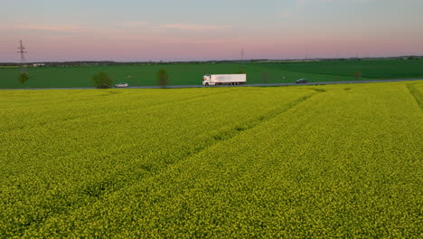 Aerial-view-of-rapeseed-field-with-a-truck-on-the-road-at-sunset