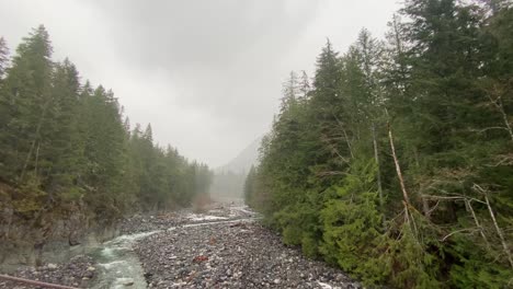Video-shot-of-a-rainy-and-foggy-day-in-the-middle-of-the-forest