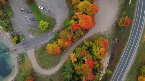 Toma-Aérea-De-árboles-Durante-El-Otoño