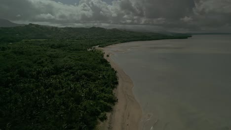 Forest-and-sand-beach-by-calm-sea-in-cloudy-Philippines,-wide-aerial