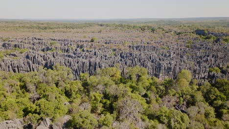 Große-Drohnenaufnahme-Des-Großen-Tsingy-De-Bemaraha---Stachelige-Steinformation-Und-Nationalpark-In-Madagaskar