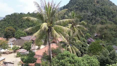 Drohnenaufnahme-Von-Palmen-über-Einem-Kleinen-Dorf-In-Der-Bergstadt-Nong-Khiaw-In-Laos,-Südostasien