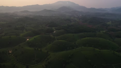 Luftaufnahme-Des-Teehügels-Long-Coc,-Vietnam