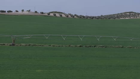 lateral-flight-with-a-drone-in-a-planted-field,-the-green-of-the-crop-is-impressive-where-we-visualize-a-large-mobile-structure-for-agricultural-sprinkler-irrigation-with-its-wheels-Toledo,-Spain