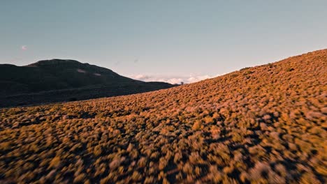 Low-drone-shot-of-the-Klein-Karoo-vegetation-of-low-shrubs-and-bushes-at-sunset
