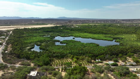 Luftaufnahme-Rund-Um-Die-Oase-Mirador-Santiago-De-Yola-Im-Sonnigen-Baja-California-Sur-Mexiko