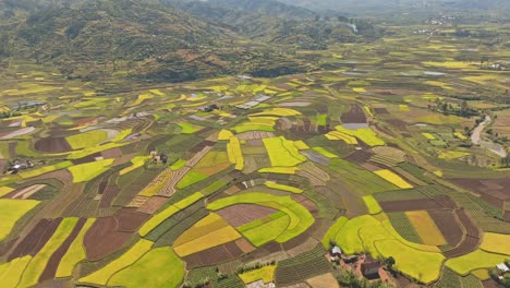 Beautiful-colourful-fields-in-Madagascar-countryside