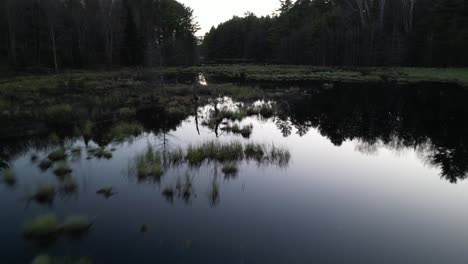 Luftaufnahme-Eines-Biberdamms-In-Einem-Waldfluss-In-Der-Abenddämmerung,-Umgeben-Von-Dichten-Bäumen-Und-Reflektierendem-Wasser