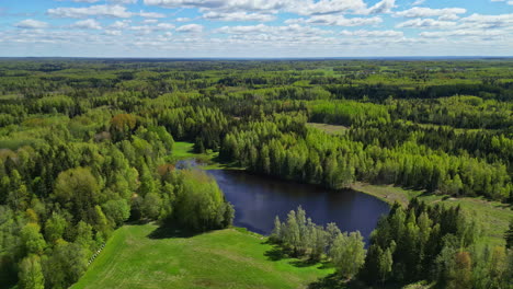 Endless-forest-landscape-with-blue-pond-bellow,-aerial-orbit-view