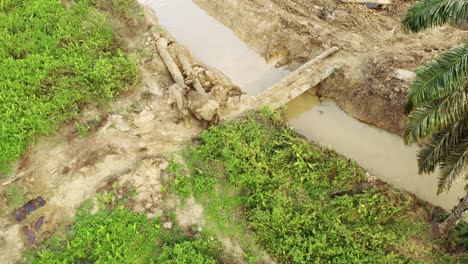 Ein-Elefant-In-Der-Nähe-Eines-Flusses,-Der-Durch-Abholzung-In-Borneo,-Malaysia-Fast-Abgeschnitten-Ist