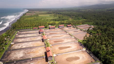 Tropical-forest-destroyed-for-shrimp-farming-in-Bali,-Indonesia