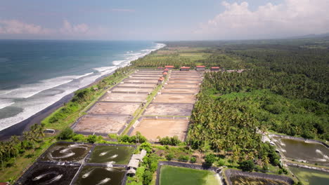 Aerial-dolly-over-big-shrimp-farm-in-Bali-next-to-tropical-coastline