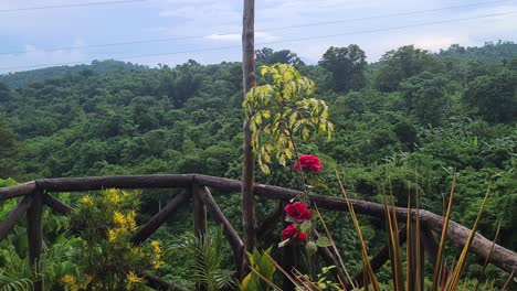 Tropical-Lush-of-Palawan-Island,-Philippines,-Lookout-Above-Dense-Rainforest,-Panorama