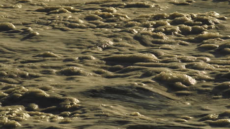 Espuma-De-Mar-Tranquila-Flotando-En-El-Agua-Durante-La-Puesta-De-Sol-Dorada---Toma-Estática