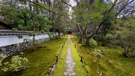 Jardín-De-Musgo-Del-Templo-Saihoji-En-Kyoto,-Japón