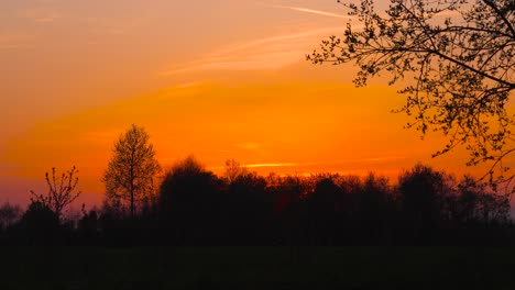 Scenic-vibrant-orange-sunset-sky-with-dark-forest-silhouette,-Latvia