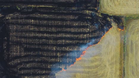 Aerial-drone-shot-of-Stubble-burning-of-left-overs-from-wheat-field-harvest-causing-smog-and-heavy-air-pollution-in-north-india