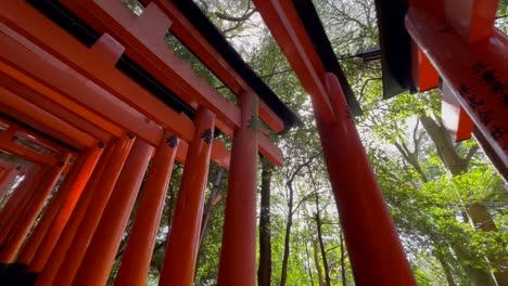 Ángulo-Holandés-De-La-Escritura-En-Las-Puertas-Fushimi-Inari-Taisha-En-Kioto,-Japón