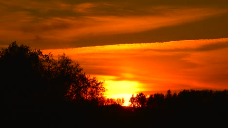 Deep-orange-sunset-sky-with-plane-chemtrail-and-forest-silhouette,-Latvia
