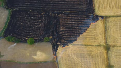 Aerial-drone-shot-of-Stubble-burning-of-left-overs-from-wheat-field-harvest-causing-smog-and-heavy-air-pollution-in-north-india