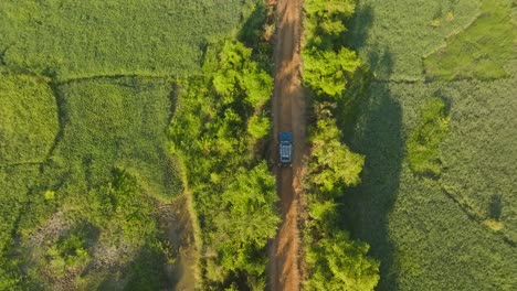 Luftaufnahme-Von-Oben-Nach-Unten-Eines-Geländewagens-Auf-Einer-Staubigen-Waldstraße-In-Der-Nähe-Von-Reisfeldern-An-Einem-Sonnigen-Tag-In-Der-Afrikanischen-Landschaft