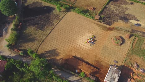 Toma-Aérea-De-Drones-De-Tierras-De-Cultivo-De-Trigo-Cosechadas-Durante-El-Verano-En-Una-Aldea-Rural-De-Orchha-Madhya-Pradesh-En-India