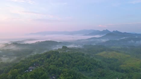 Fly-over-green-tropical-landscape-in-foggy-morning