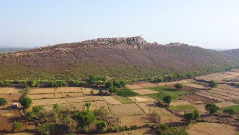 Aerial-drone-shot-of-a-hill-surrounded-by-harvested-wheat-farmlands-in-a-rural-village-of-orchha-madhya-pradesh-in-india