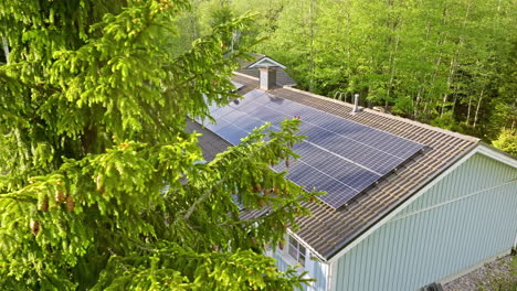 Aerial-view-around-a-tree,-revealing-a-PV-modules-a-on-a-house-roof,-sunny-day