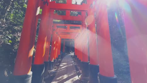 Walking-through-arches-of-Fushimi-Inari-Taisha-in-Kyoto-Japan