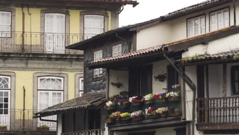 Vista-De-Teleobjetivo-Medio-De-Flores-En-Macetas-En-El-Patio-Exterior-De-La-Casa-En-Un-Día-Nublado