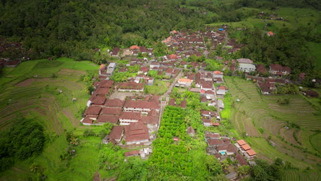Aerial-parallax-of-Bali-Village-on-hillside-by-terraced-rice-paddy-fields
