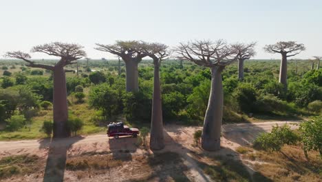 Off-road-SUV-fully-loaded-car-driving-on-a-dusty-road-above-unique-baobab-trees-in-Madagascar,-Africa-