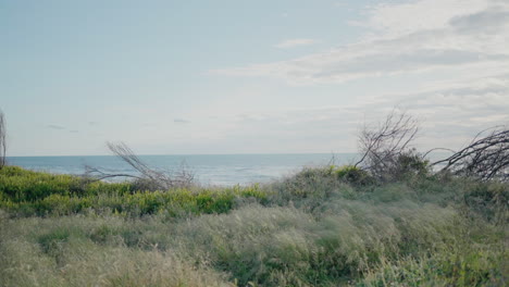 Lush-coastal-vegetation-with-ocean-view-under-a-partly-cloudy-sky-at-Ovar-Beach,-Portugal