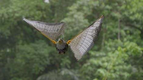 A-toy-bird-with-detailed-wings-spins-on-a-string-in-the-breeze-against-a-lush,-green-forest-backdrop