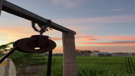 Vertical-video-of-sunset-time-at-the-farm-land-in-a-tropical-country