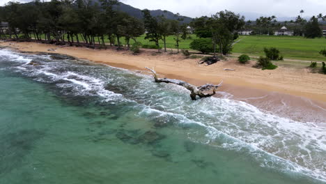 Giro-Aéreo-Alrededor-De-Madera-Flotante-En-La-Playa-De-Kauai-Con-Olas-Y-Montañas-En-Un-Día-Cambiante