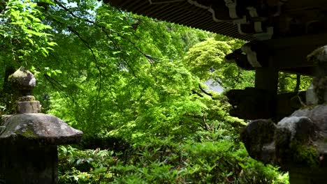 Daiyuzan-Temple-in-Kanagawa-during-lush-green-Summer