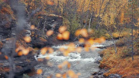 Der-Flache-Fluss-Stürzt-In-Das-Felsige-Flussbett-Durch-Den-Herbstlichen-Wald