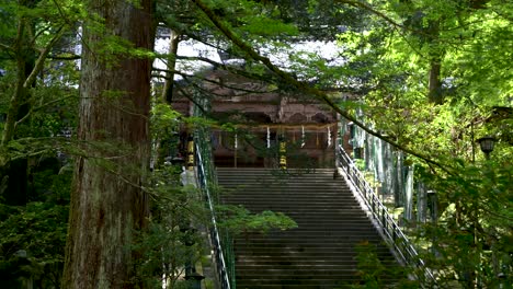 High-stone-steps-at-beautiful-temple-building-inside-lush-Japanese-green-forest